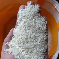 برنج طارم