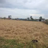 ۲۳۰۰ متر زمین. دهک