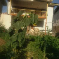 ویلا امن و تمیز