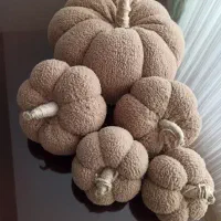 کدوتنبل تدی