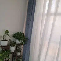 دستک پرده