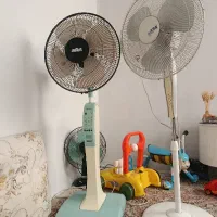 پنکه بلند و کوتاه