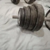 دمبل