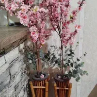 گل بهاری