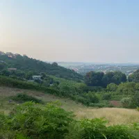 زمین باغی