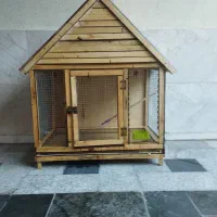 لانه  کبوتر یا جوجه و مرغ نو نو