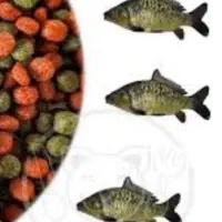 غذای ماهی
