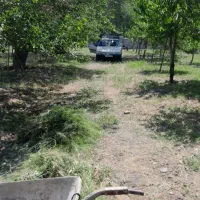سمپاش