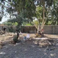 زمین1300متر-قاسم-آباد-تهرانچی