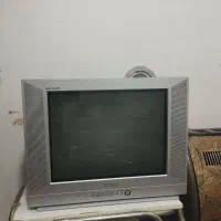 تلوزیون