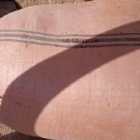 فروش کاه سفید