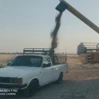 وانت بار