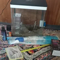 اکواریوم