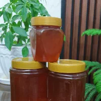 عسل زاگرس