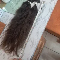 مو ۴۰ سانتی