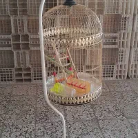 قفس پایدار استوان ای