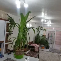 تعدادی 2طبقه محدوده شمال شهر