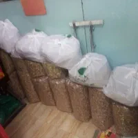 مغزپسته|خوردنی و آشامیدنی|تهران, افسریه شمالی|دیوار