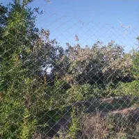 باغ-در-محدوده-شازیله-خوسف
