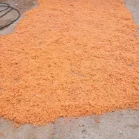 تفاله هویج