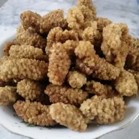 توت خشک