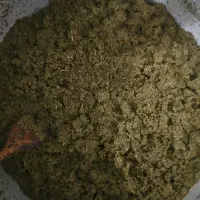 سبزی قرمه سرخ شده اعلا خانگی جزئ و عمده