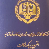 وکیل دادگاه