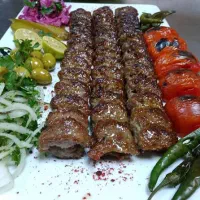 منقل کار حرفه ای
