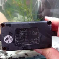 لوازم اکواریوم و اکواریوم درجه یک