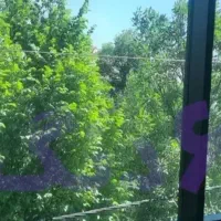آپارتمان-85-متری-نگارستان