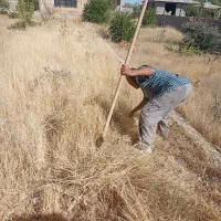 نیازمند کارگر باغ و ساختمان