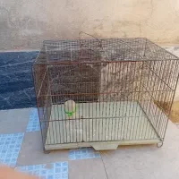 قفس پرنده