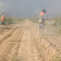 علف زن باغات ویلا