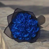 رُبان‌دُخت/ هدیه ماندگار
