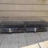 قفس پرنده