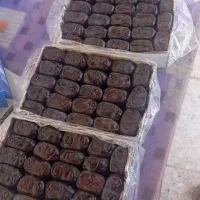 خرمای مضافتی