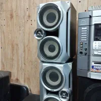 ظبط سیدی همراه با باند