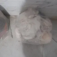 نخ قالی