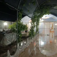 باغ باغچه
