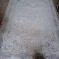 قالی 6متری