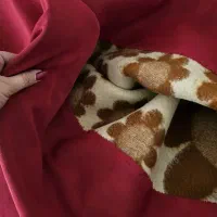 لحاف پنبه ای و پشتی