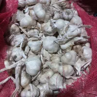 سیر همدان