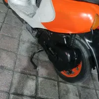 پاکشتی