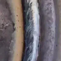 جوشکارسیارمحدوده نظام اباد سبلان نارمک