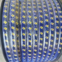 چراغ نور مخفی یخی