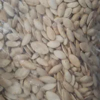 تخمه کدو