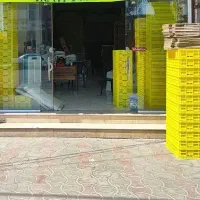 کارتن و پلاستیک به قیمت کارخونه