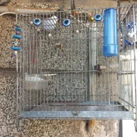 قفس سهره