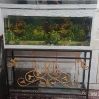 آکواریوم با میز آهنی