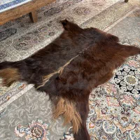 قالیچه پوست